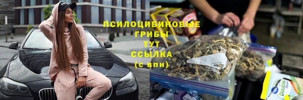 скорость Алзамай
